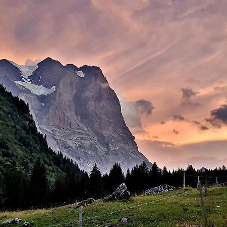 Loft4Two Διαμέρισμα Meiringen Εξωτερικό φωτογραφία