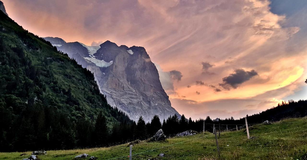 Loft4Two Διαμέρισμα Meiringen Εξωτερικό φωτογραφία