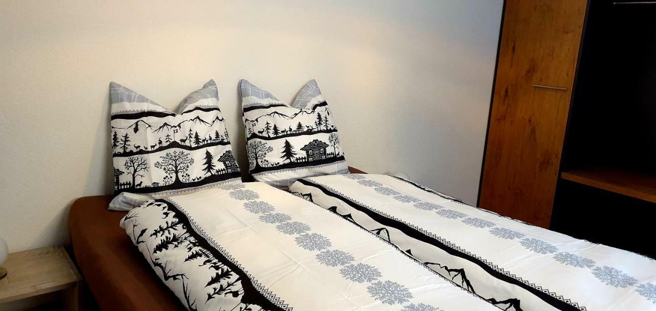 Loft4Two Διαμέρισμα Meiringen Εξωτερικό φωτογραφία